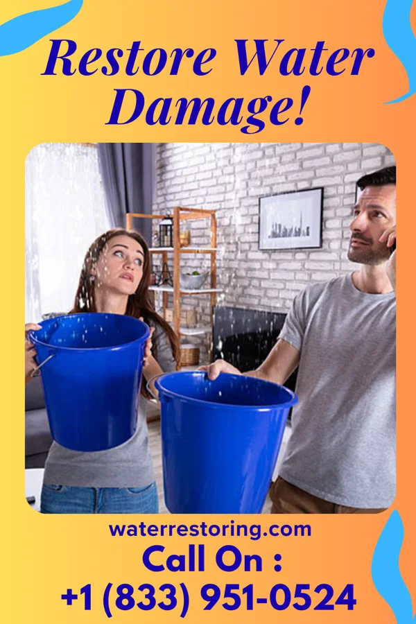 water restoration Prime Flood Damage Company Owyhee